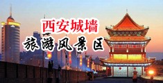 男人和女人插bb动态图中国陕西-西安城墙旅游风景区