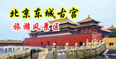 大龟头插骚穴中国北京-东城古宫旅游风景区